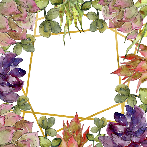 Exotic tropical botanical succulents. Watercolor background illustration set. Frame border ornament with copy space. - Foto, Imagen