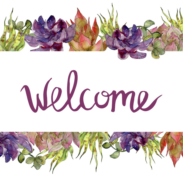 Succulent botanical flowers. Watercolor background illustration set. Frame border ornament with welcome lettering. - Foto, imagen