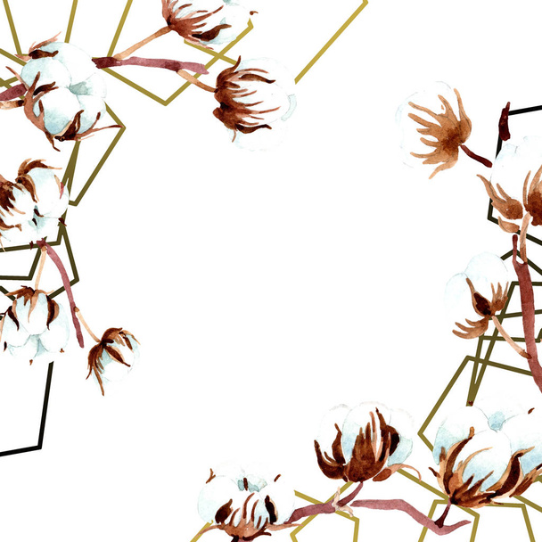 Botaniczny kwiaty bawełny. Zestaw ilustracji tle akwarela. Ornament rama granicy. - Zdjęcie, obraz
