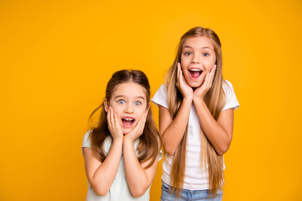 Portrait of two nice crazy adorable winsome sweet attractive lovely pretty cheerful cheery straight-haired girls omg facial expression isolated over bright vivid shine yellow background - Photo, image
