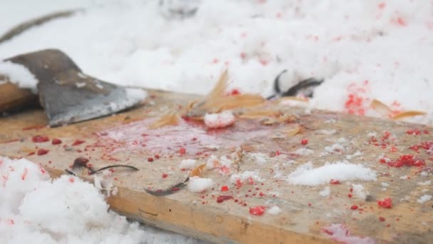 Ax in the blood on the board and in the snow. - Footage, Video