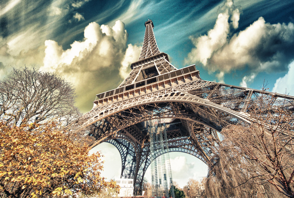 prachtige straatmening van eiffel tower en winter vegetatie - Parijs - Foto, afbeelding