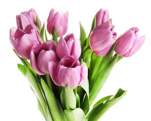 Beautiful bouquet of purple tulips, isolated on white - Fotó, kép
