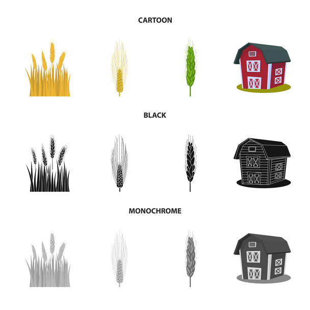 Diseño vectorial de la agricultura y signo agrícola. Conjunto de símbolos agrícolas y vegetales para web
. - Vector, imagen