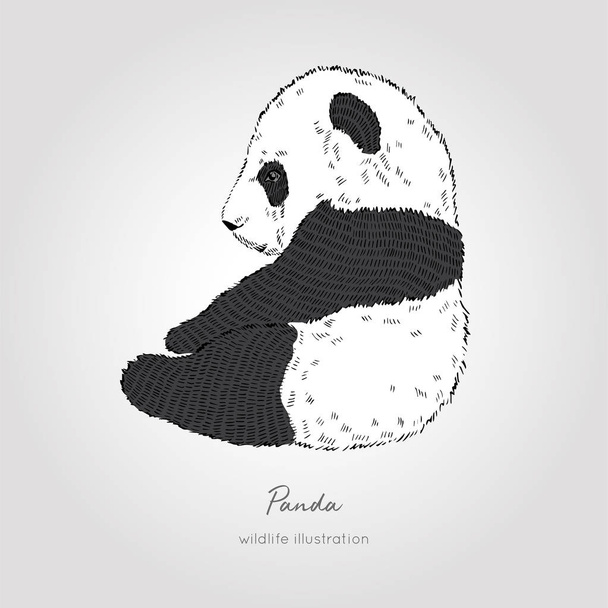 Black and white vector illustration of cute little panda. Perfect for kids design. - Wektor, obraz