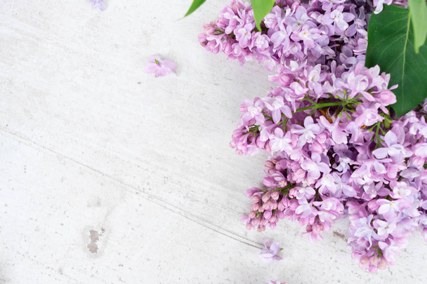 Fresh lilac flowers - Zdjęcie, obraz