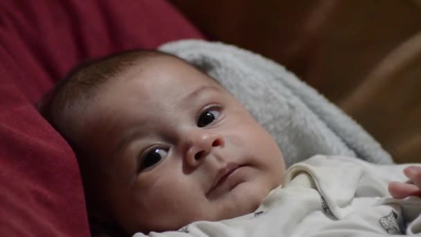Söpö puu kuukautta vanha vauva poika tekee hauskoja kasvoja lähikuva pään ampua - varhaislapsuudessa
 - Materiaali, video