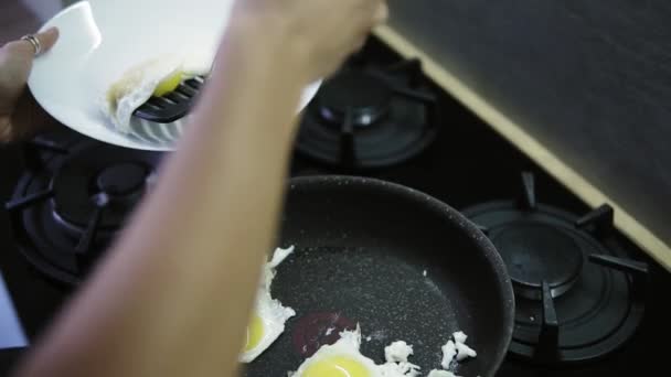 A womans hands put the fryied eggs from the hot pan on the white plate. Late breakfast at home. Close up view - Záběry, video