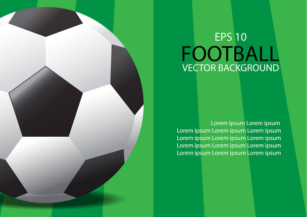 Vector realistic soccer ball on field grass - Vector, afbeelding