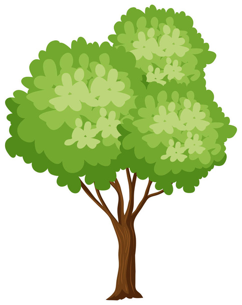 Isoated δέντρο σε λευκό φόντο εικόνα - Διάνυσμα, εικόνα
