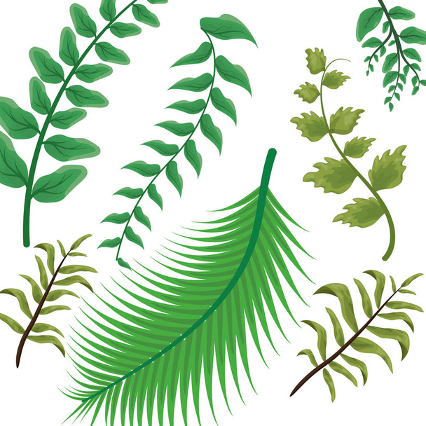 foliage nature leaves - Vector, afbeelding