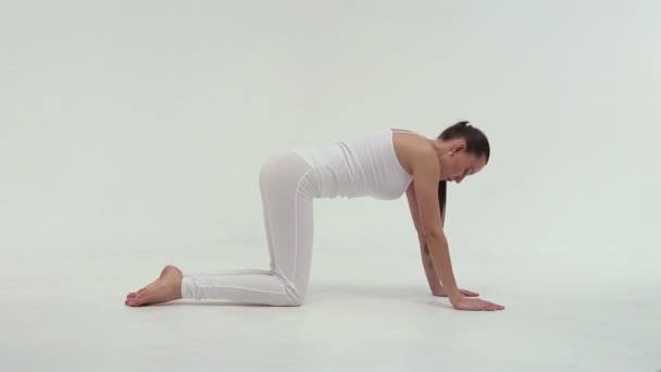 The young charming athletic sport woman doing the side bridge on the exercise mat at the white background. - Footage, Video