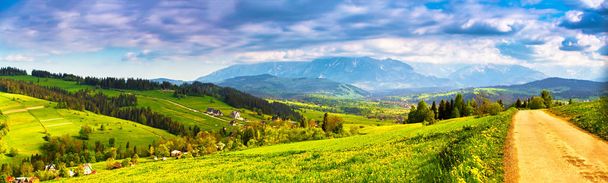 Polen Frühling Tatra Gebirgspanorama. Grüne Löwenzahn-Frühlingswiese auf Hügeln. Urlaub, Reisen in Europa. - Foto, Bild