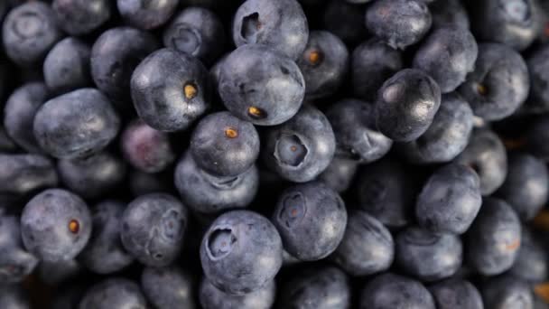 Heap of blueberries - Materiaali, video