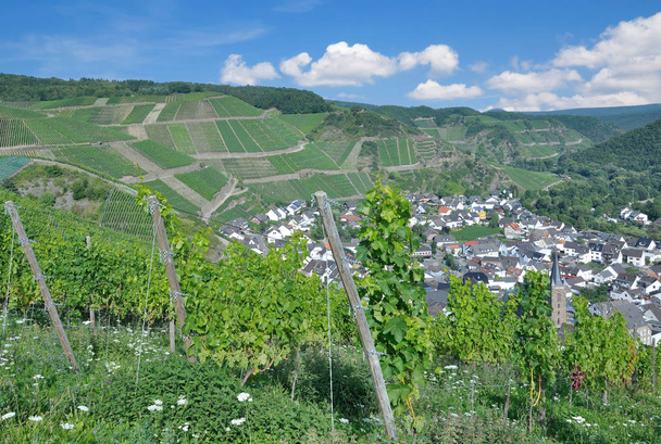 Вино село Дернау в Ahrtal поблизу Бад-Нойенахр-Ахрвейлер, Рейнланд-Пфальц, Німеччина  - Фото, зображення