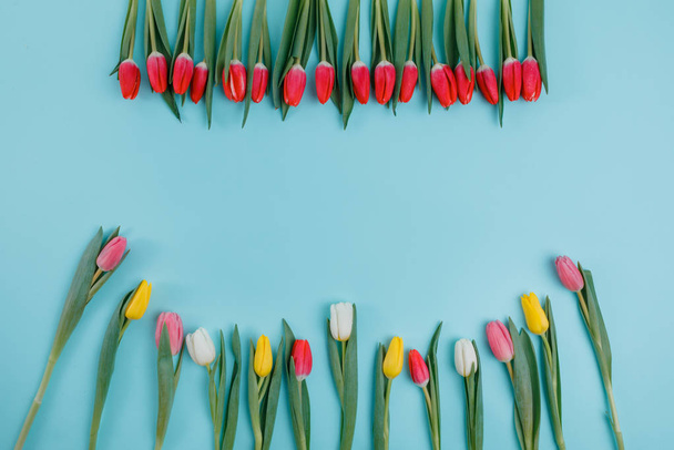 Spring Tulips Flowers Concept. Valentine's Day, Woman's Day, Mother's Day. - Foto, imagen