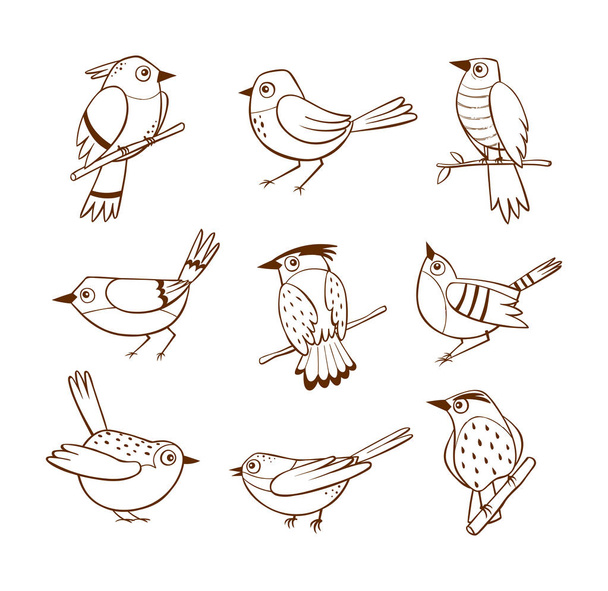 Hand drawn birds in different poses, isolated on white background. Vector illustration. - ベクター画像