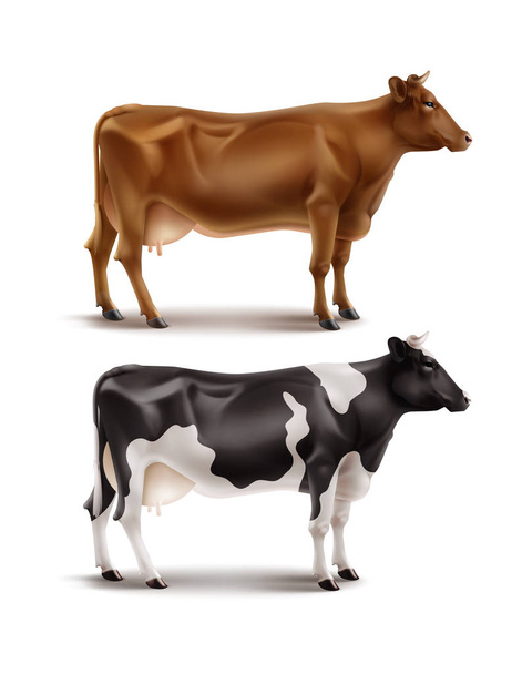 Vektor-Illustration realistischer braun und schwarz-weiß gefleckter Kühe, Haus- oder Nutztiere, Seitenansicht - Vektor, Bild