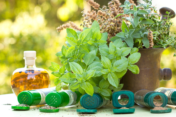 Fresh and dry herbs - spices - Фото, зображення