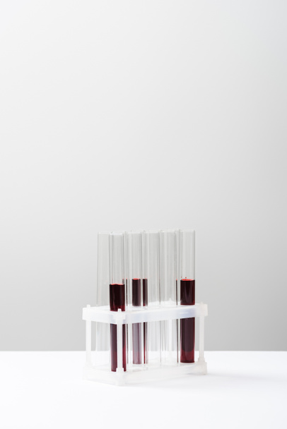 test tubes with blood on grey background with copy space - Zdjęcie, obraz