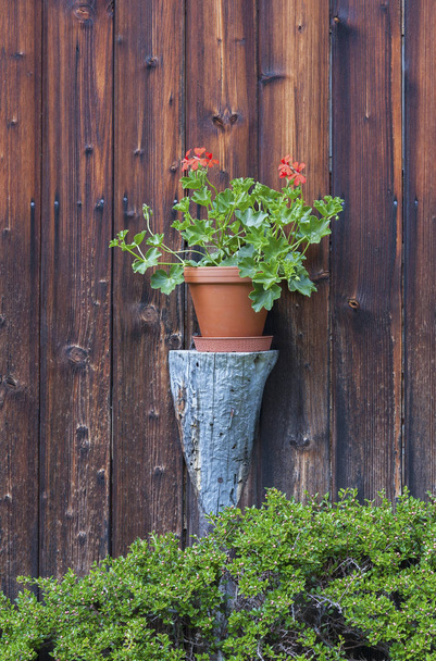 Postavení květináče dřevěné zdi - Fotografie, Obrázek