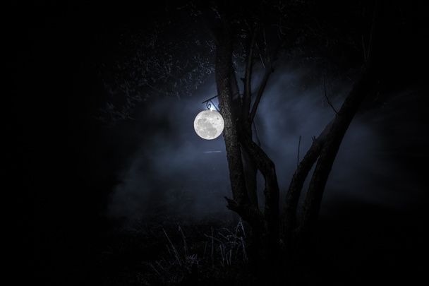Bella lampada lunare in giardino nella notte nebbiosa. Lanterna in stile retrò di notte all'aperto. Focus selettivo
 - Foto, immagini