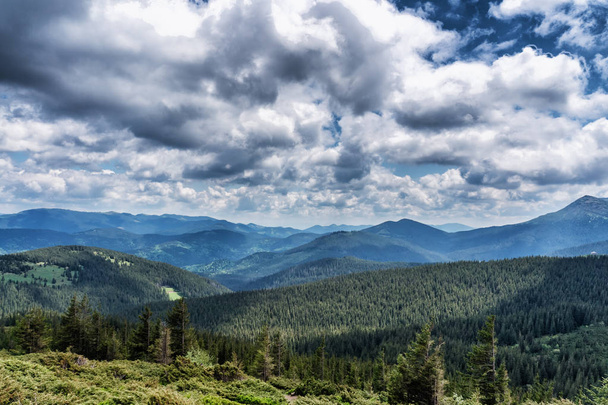 Idyllic view of mountain top under blue sky with white clouds in summer Karpaty Ukraine Hoverla - Photo, Image