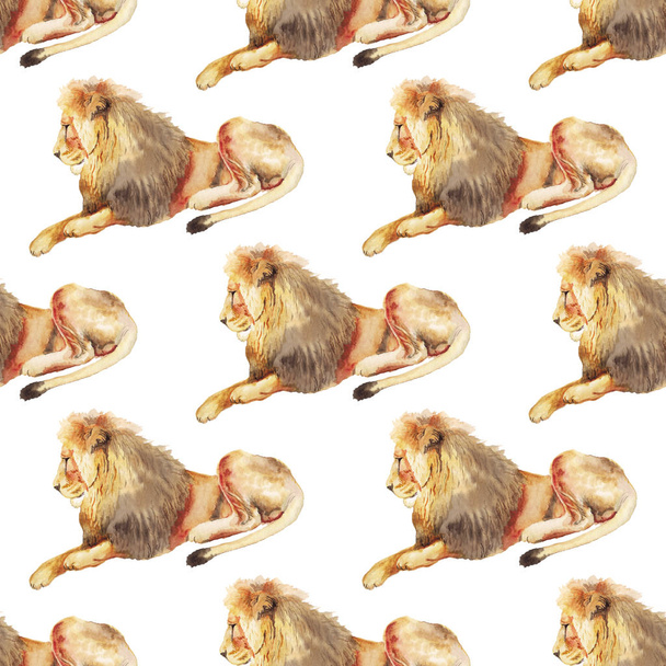 Seamless pattern with lion - Photo, image