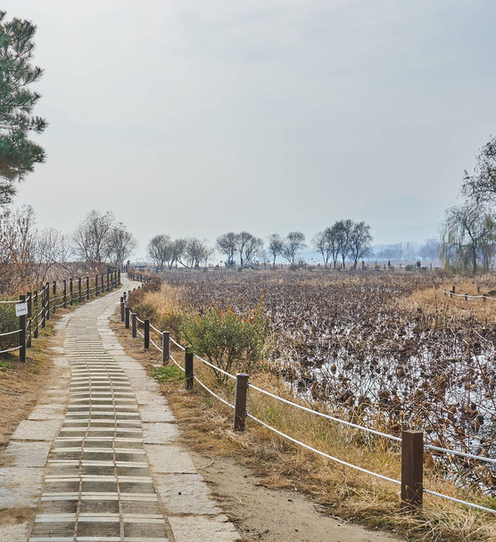 Caminho de pedra, cercado por lagoa e árvores, em direção ao rio em Yangpyeong, Coréia do Sul
.            - Foto, Imagem