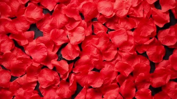 Background of beautiful red rose petals. Top view - Footage, Video
