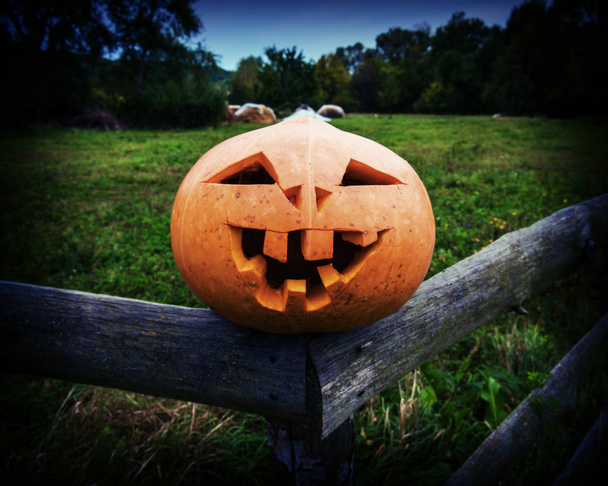 Scary pumpkin on Halloween on on rustic wooden fence - Photo, image