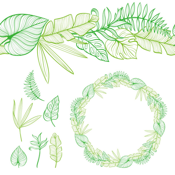 Set of seamless border and round frame. Hand-drawn tropical leaves. Template. Vector illustration - Vector, Image