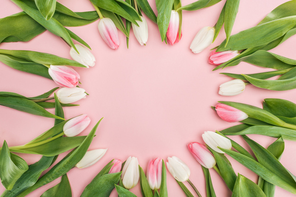 top view of spring tulips in circle frame isolated on pink - Photo, Image