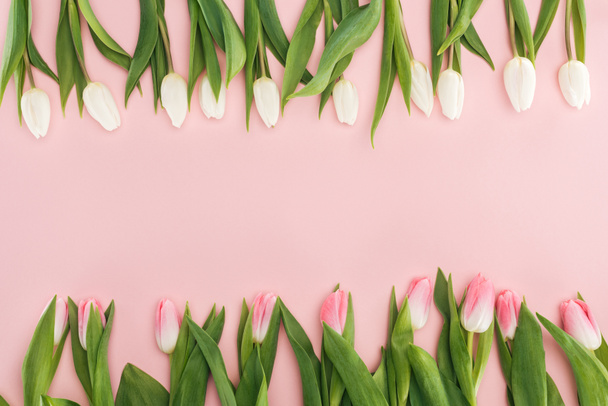 bovenaanzicht van roze en witte lente tulpen geïsoleerd op roze - Foto, afbeelding
