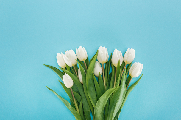 top view of bouquet with white tulip flowers isolated on blue - 写真・画像