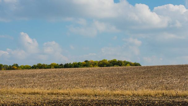 plowed land after-harvest, autumn landscape - Zdjęcie, obraz