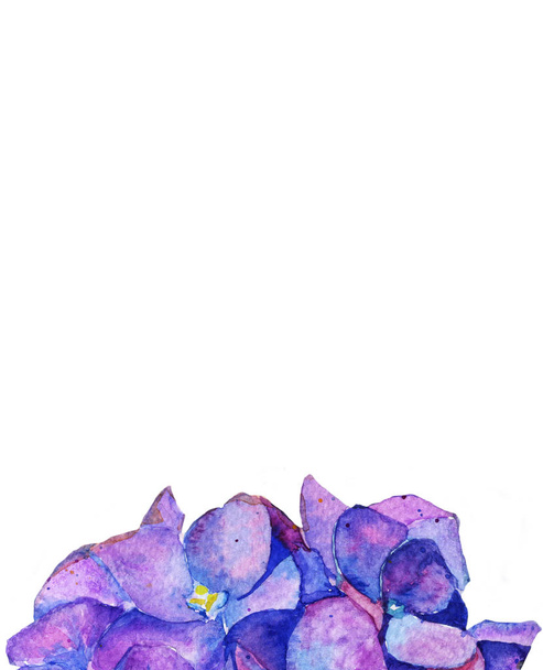 hydrangea in watercolor flowers. spring summer. background - Foto, afbeelding