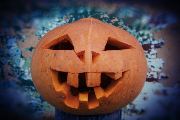 Halloween pumpkin on blurred  background wall - Photo, image