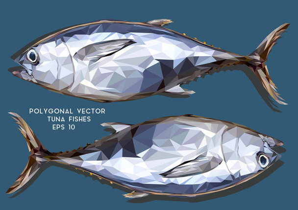 Ábrán látható 3d alacsony sokszögrajzoló tonhal halak. - Vektor, kép