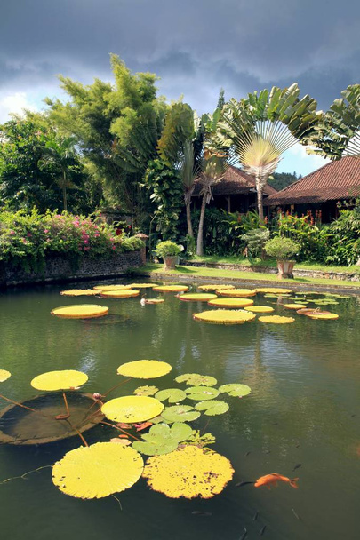 Tirtha Gangga - το πρώην βασιλικό παλάτι στα ανατολικά του στο νησί του Μπαλί, στην Ινδονησία, είναι γνωστή για το παλάτι του νερού, ανήκουν σε Καρανγκασέμ Royal. (Αυτό είναι ένας λαβύρινθος από πισίνες και περιβάλλεται από έναν καταπράσινο κήπο, πέτρινα γλυπτά και αγάλματα σιντριβάνια). - Φωτογραφία, εικόνα