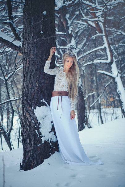 Kış güzellik kadın. Güzel moda model kızla kar saç ve makyaj kış ormanın içinde. Festival makyaj ve manikür. Kış kraliçe kar ve buz saç modeli ile. - Fotoğraf, Görsel