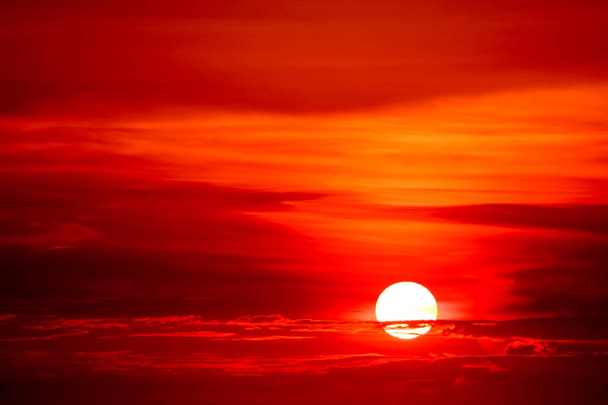 puesta del sol y colorido árbol de silueta de nube de llama en el cielo rojo oscuro
 - Foto, Imagen