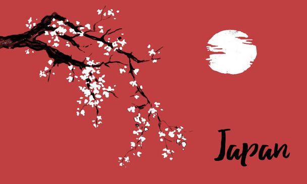 Japan traditional sumi-e painting. Sakura, cherry blossom. Indian ink illustration. Japanese picture. - 写真・画像
