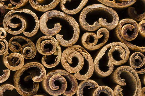 Close up van de huid van een organische kaneelstokjes - Foto, afbeelding
