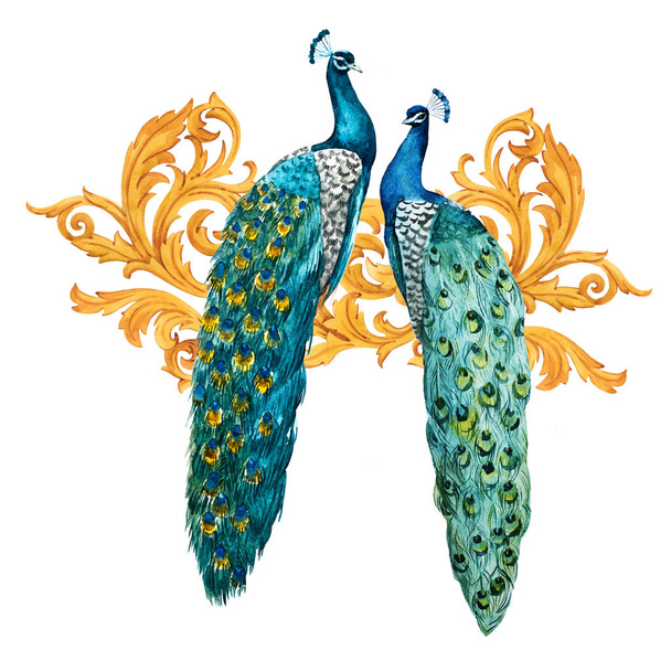 Watercolor peacock composition - Фото, изображение