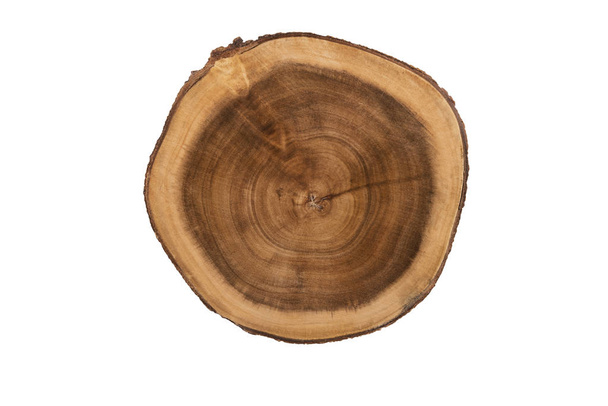 Real close-up em uma textura de corte de madeira redonda, diretamente acima. Isolado sobre fundo branco
. - Foto, Imagem