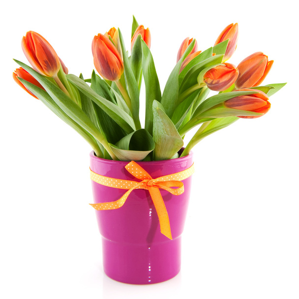 Orange tulips - Fotoğraf, Görsel