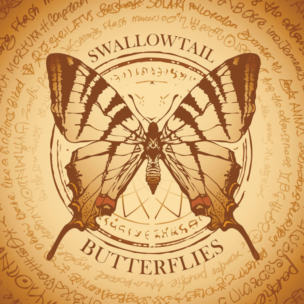 Illustration of a Swallowtail machaon butterfly on the old abstract background with illegible inscriptions written in a circle. Vector banner in retro style in beige colors. - Vektor, kép