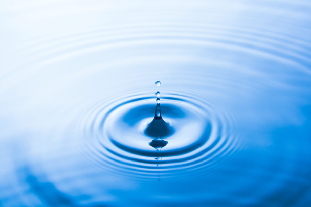 Water drop falling into water make waves. Water splash or water drop background.  - Photo, Image