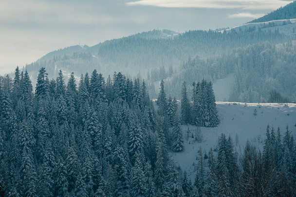 Захватывающий дух зимний горный пейзаж, покрытый снегом, леса на туманном далеком фоне. Живописная и спокойная зимняя сцена европейского курорта. Солнечный день с облаками
 - Фото, изображение